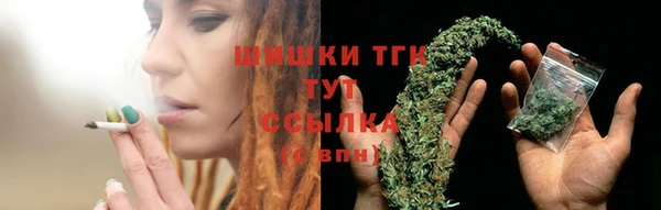 сатива Богородск