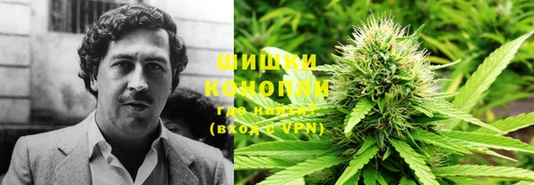 сатива Богородск