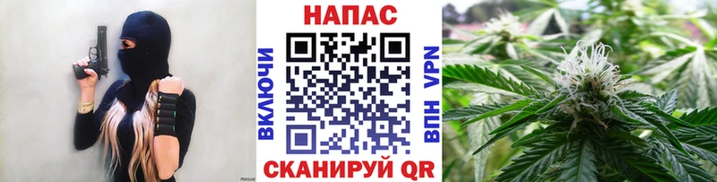 Бошки Шишки план  как найти наркотики  Зима 
